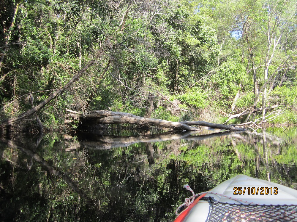 Kayaking on Waterpark Creek