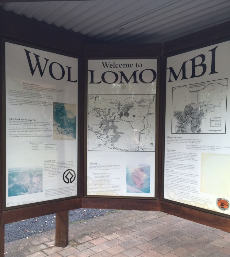 Wollomombi
