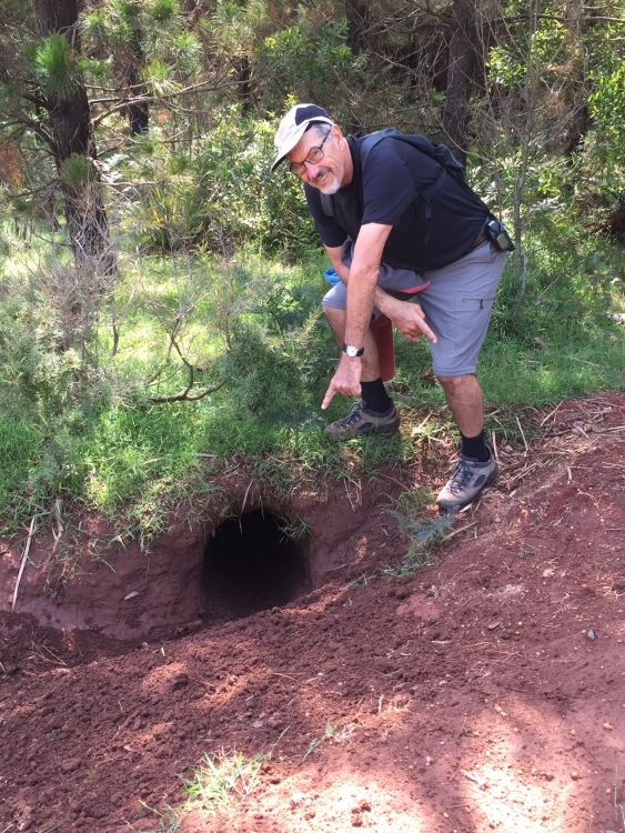 See! Wombat hole!