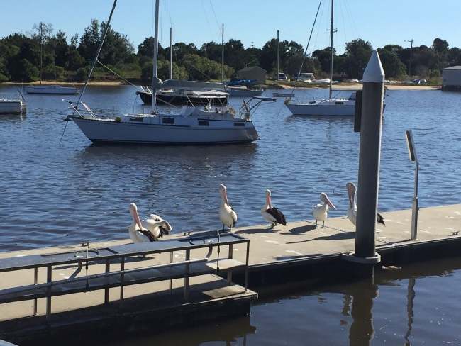 Lovely views of the Yamba boat harbour on our walk out to the breakwater.