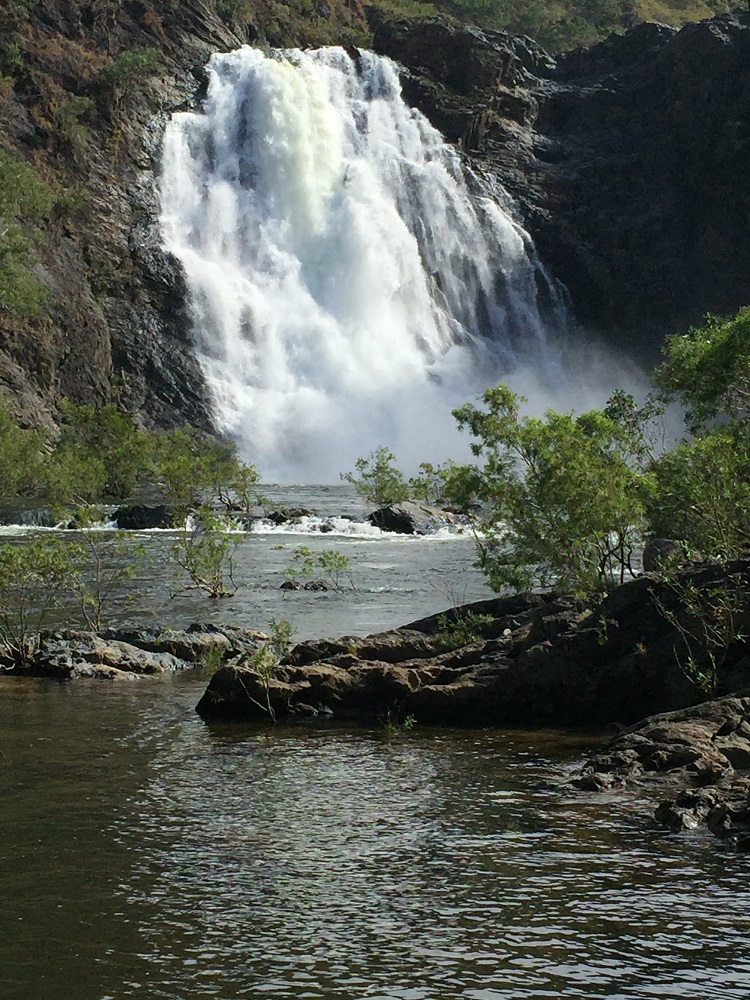 The Bloomfield Falls - breathtaking! I can't imagine what they'd be like in the wet season.