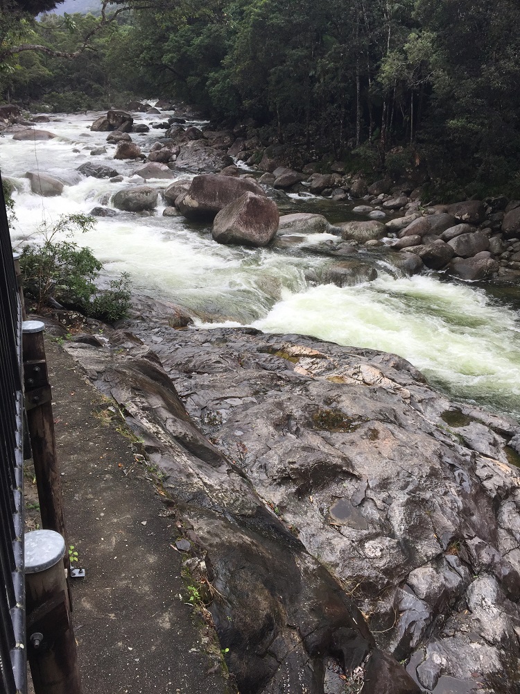 The fast-flowing Mossman River.
