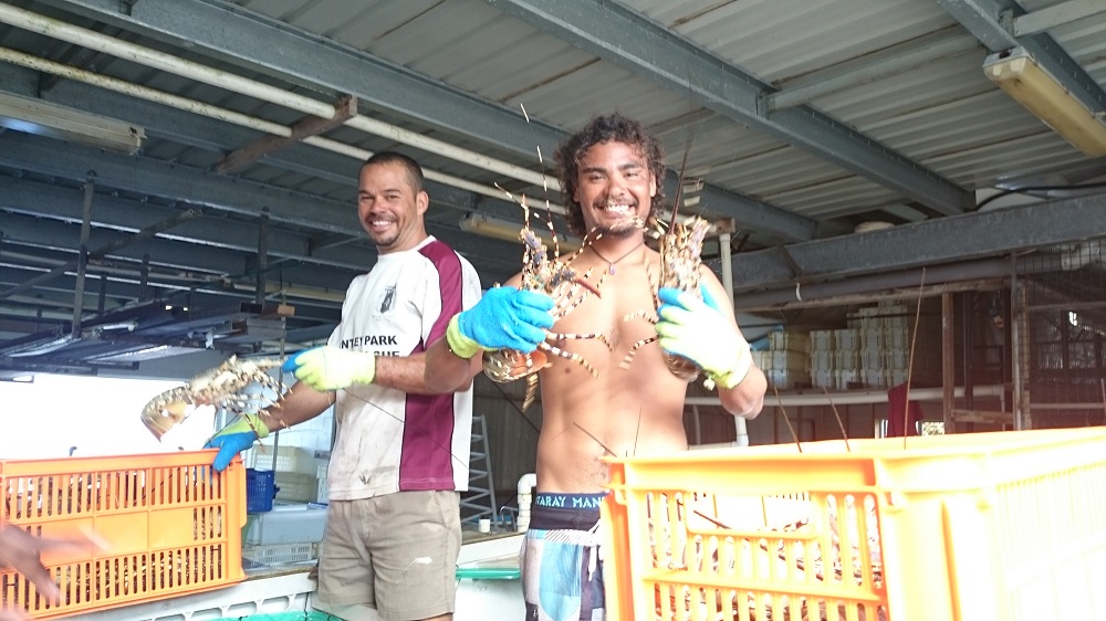 Cray fishermen displaying a couple of their catch. They sure look like they enjoy their job. 