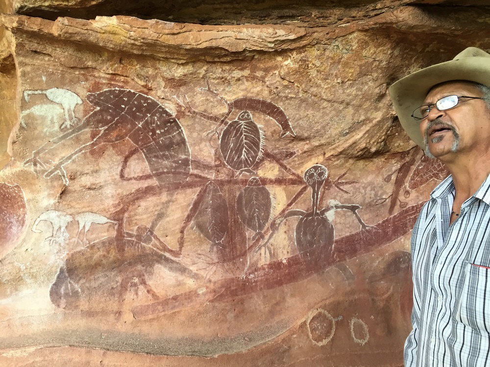 The little guy with the round head, owl-like eyes and leaf-like fingers is a male spirit figure. The circles just in front of Johnny are engraved (not painted), a practice that has been dated back at least 14,000 years. The fish in the this painting depict the skeletal bones, and the group of emus are particularly interesting in that the white ones were painted much earlier than the darker figures on the wall, including the large emu.