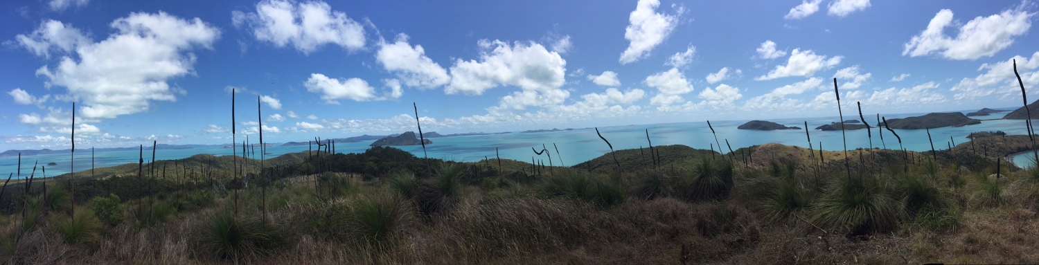 Panorama from Mt Oldfield.