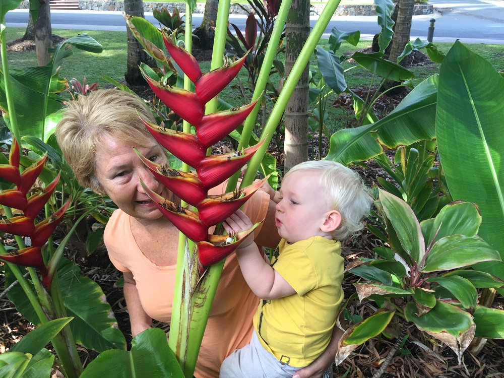 Tropical flowers - can't take this one home for mummy though John.