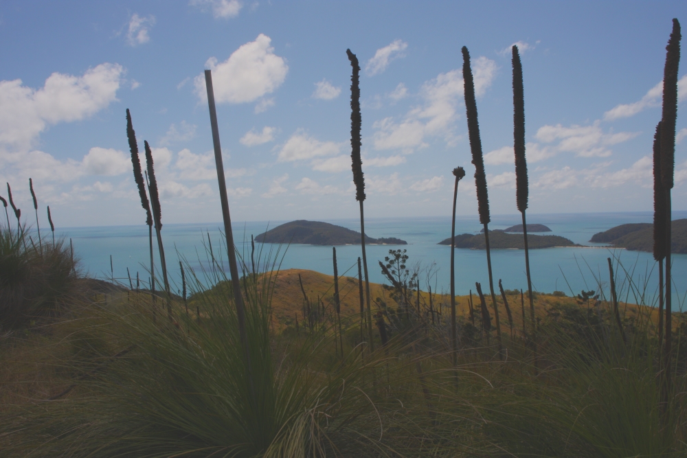 Stunning views from the top of Mt Oldfield on Lindeman island.