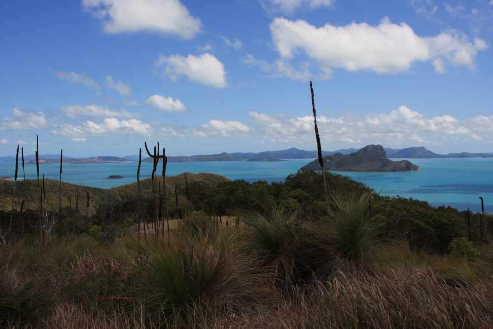 Another view from the top of Mt Oldfield. Pentecost Island seen.