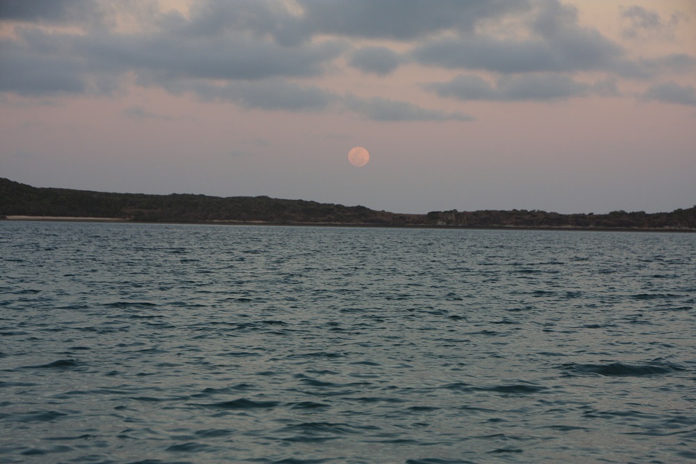 Once more we get to see a full moon rising on this trip - our 3rd so far. This time it's over Lupton Island and we're anchored in Waite Bay on Hazelwood Island. No one else here; an idyllic tropical experience.