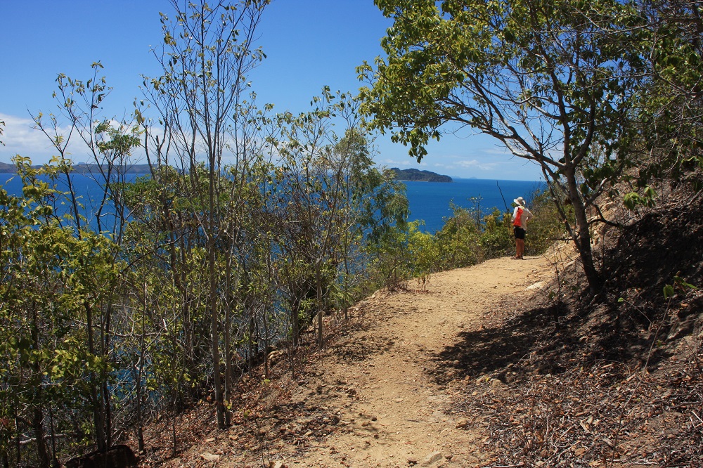 Walking track on the east of Long Island with views across the Passage.