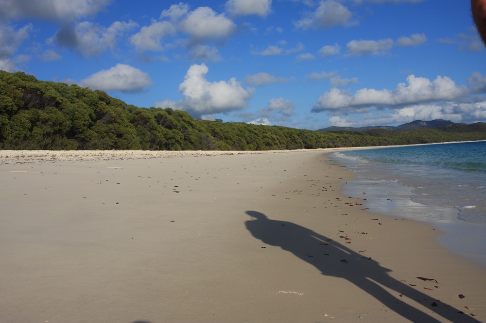 Our morning constitutional on Whitehaven Beach, before the tourists arrive.