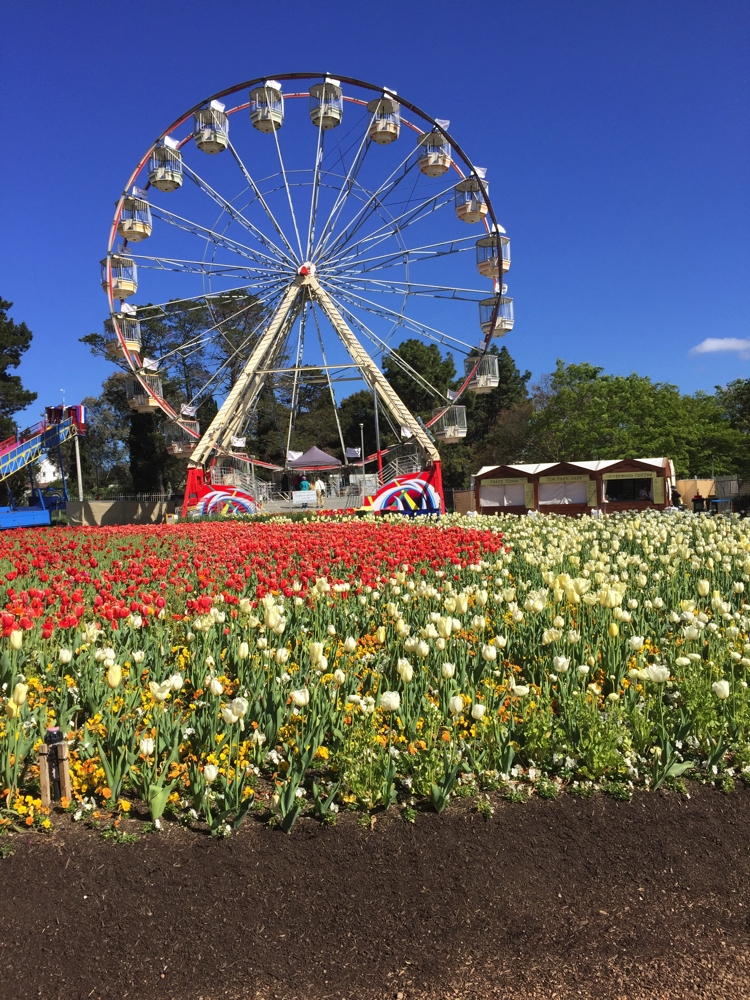 The best view of Floriade is from above. The ferris wheel gives a good bird's eye view.