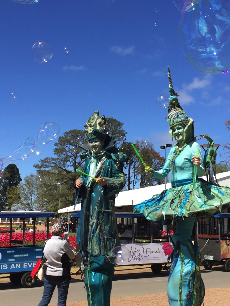 Huge bubbles, from these two stilted street performers. Floriade.