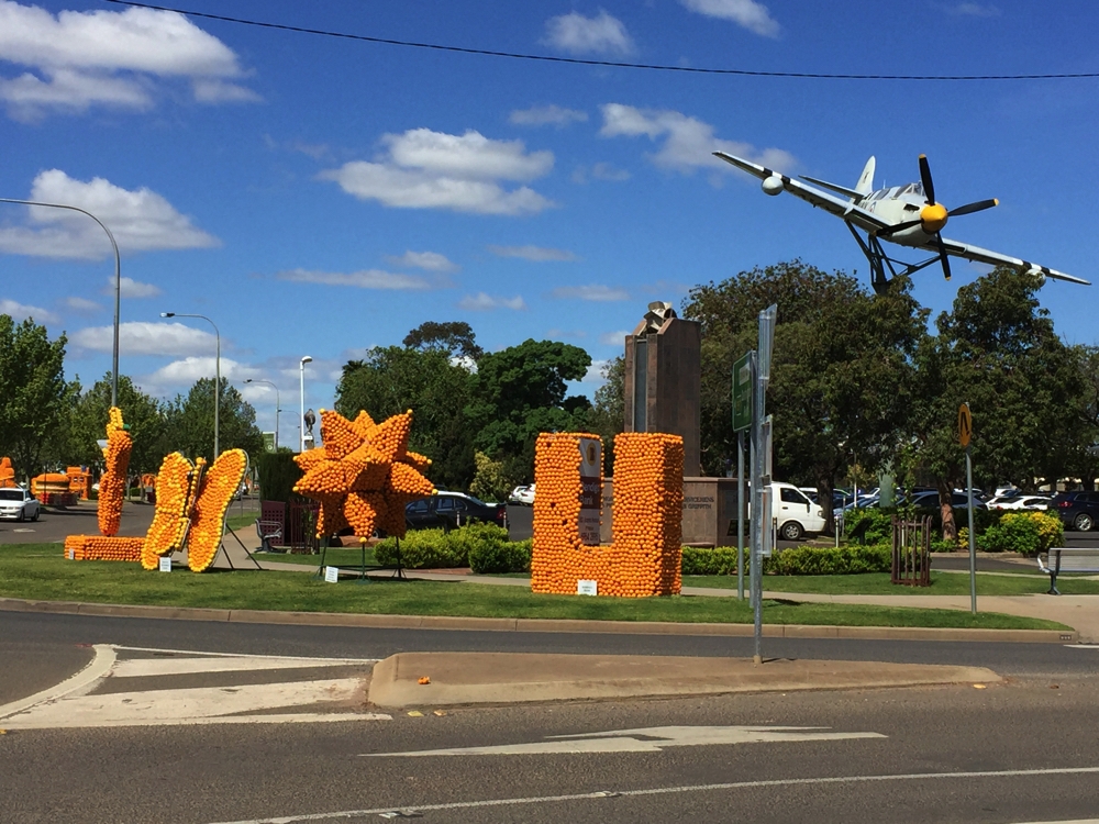 An amazing array of orange sculptures greeted us in Griffith. You can see they stretch from the Information Centre, just out of the photo to the right, all the way down the street, and then some!
