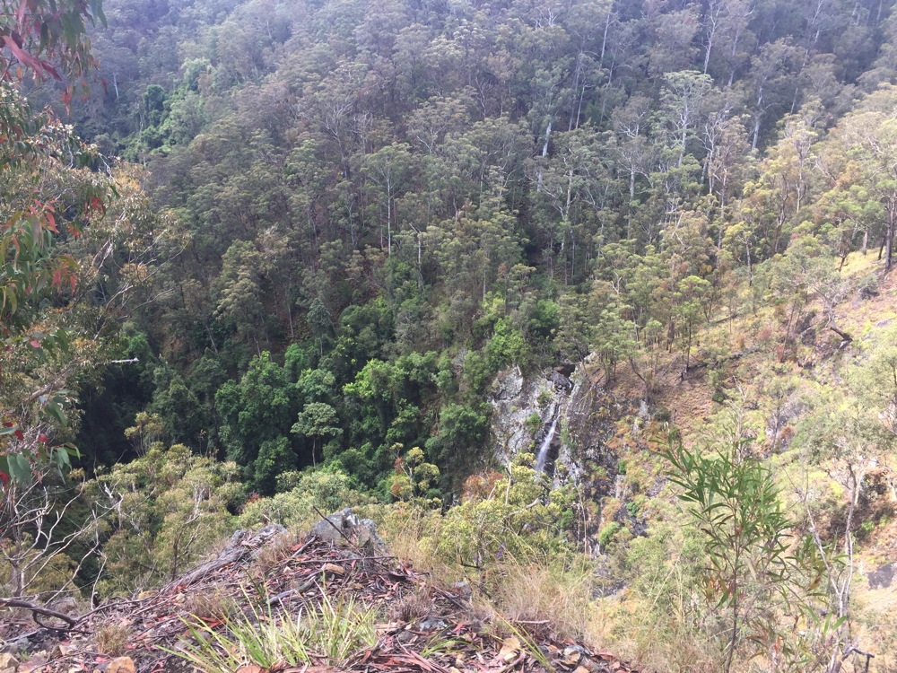 Seeing falls from a distance doesn't really do it for me. Lyrebird Falls.