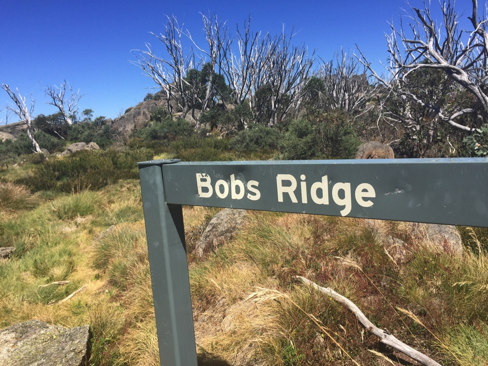 BobsRidge_sign