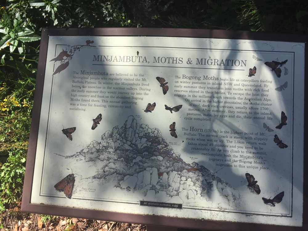 Explanatory sign about indigenous use of Mt Buffalo.