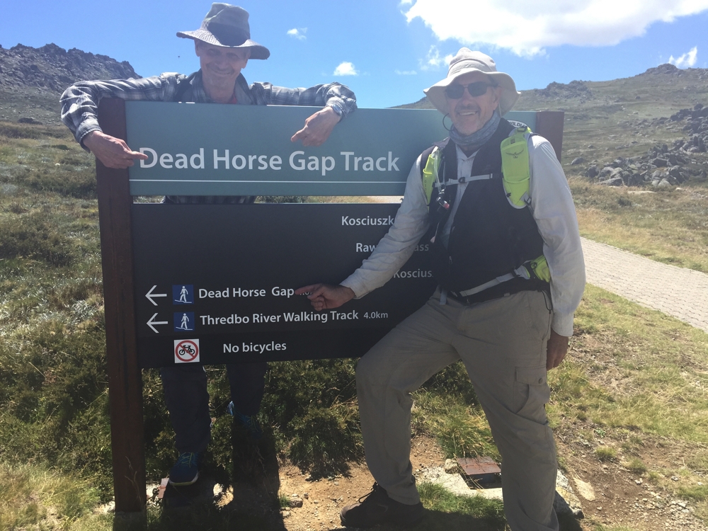 Dead Horse Gap walk first, followed by the Thredbo River track. Both great walks.