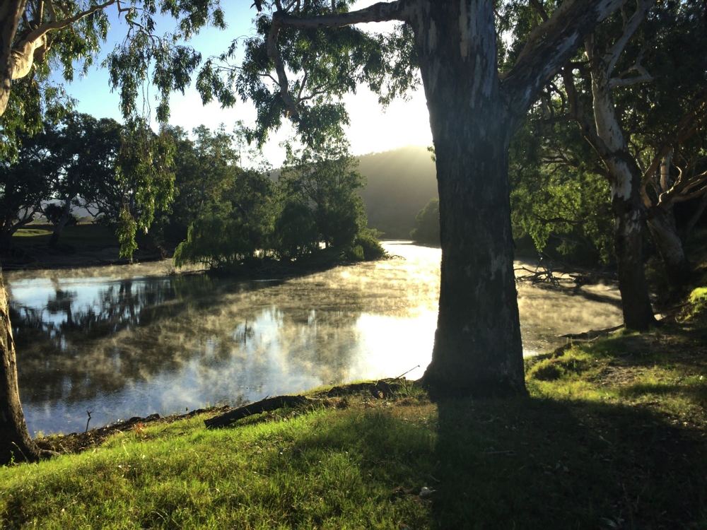 Early morning mist on the Murray River at Gadds Bend campsite.