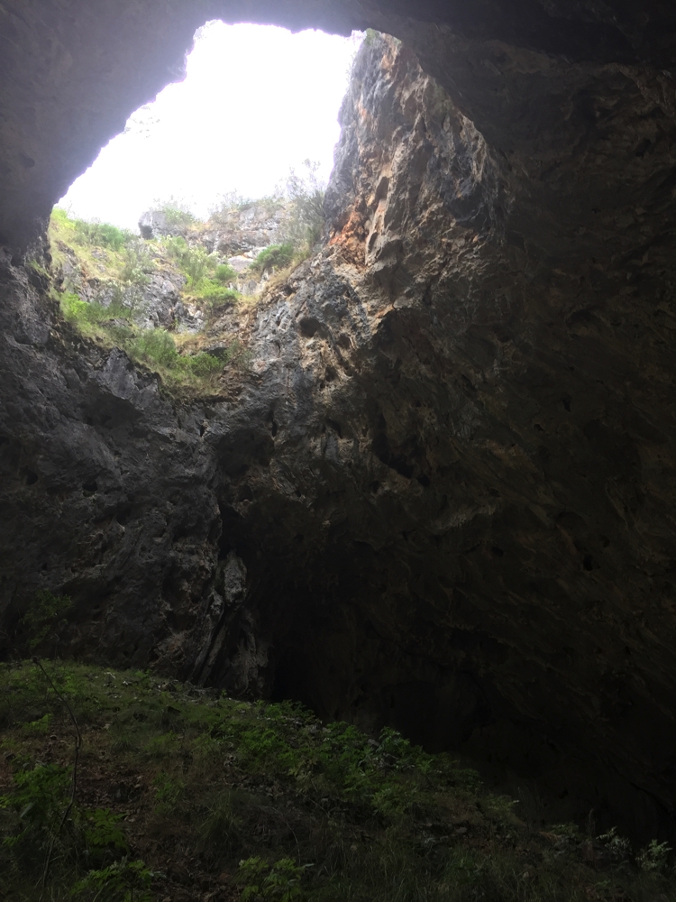 Looking back out through the cave entrance.