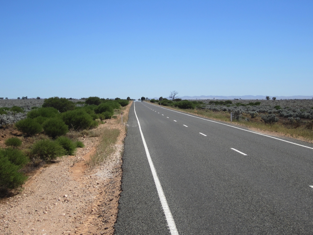 The Goyder Hwy heading to Burra. Saltbush country.