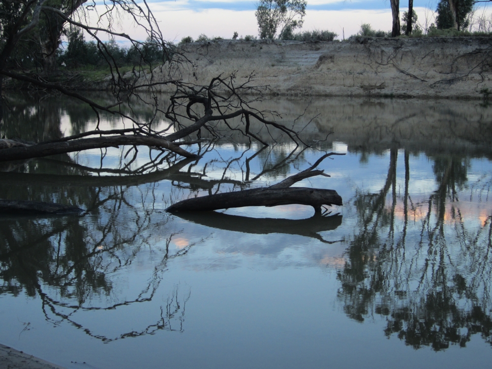 Sunset Katarapko Ck, Murray River NP