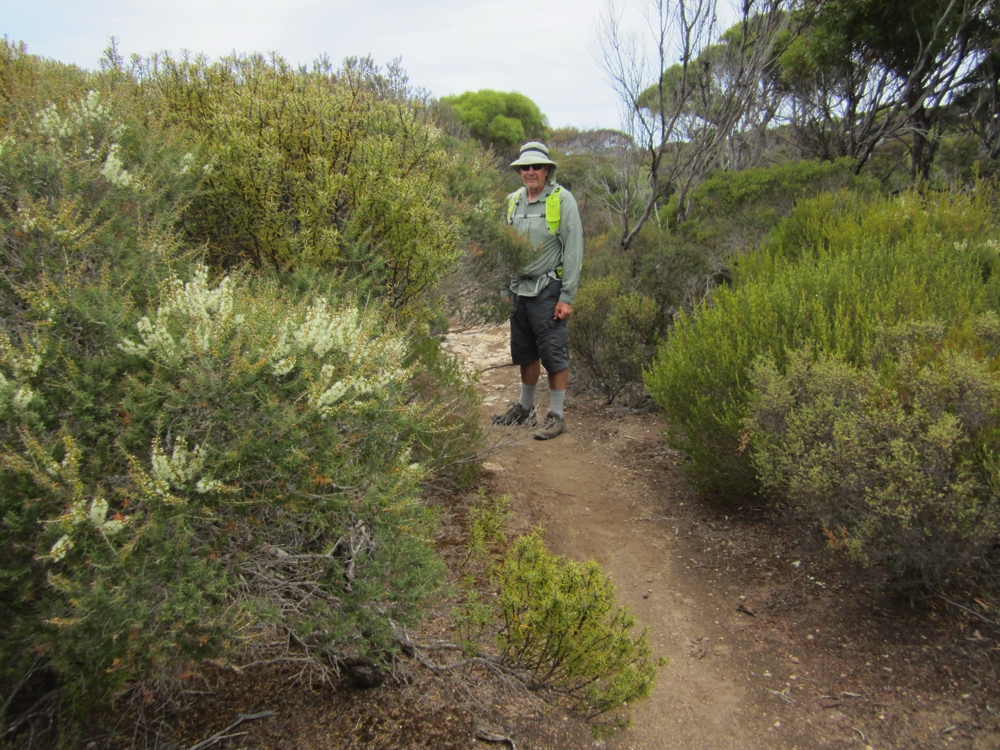 We crossed the peninsula from east coast to west coast. The inland part of the walk have more trees and taller shrubs.
