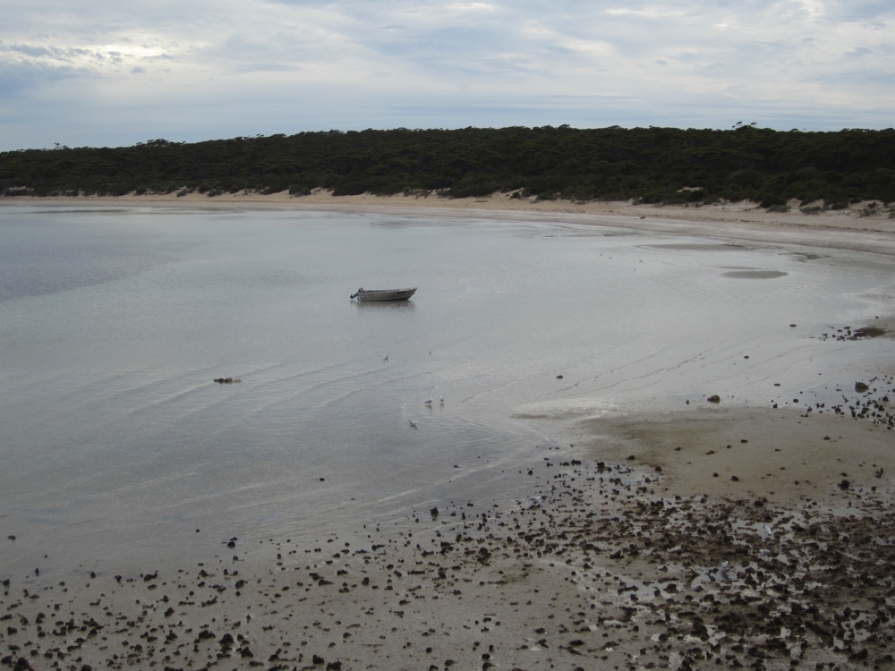 Low tide. Photo taken from our campsite at Fisherman Point, Lincoln National Park