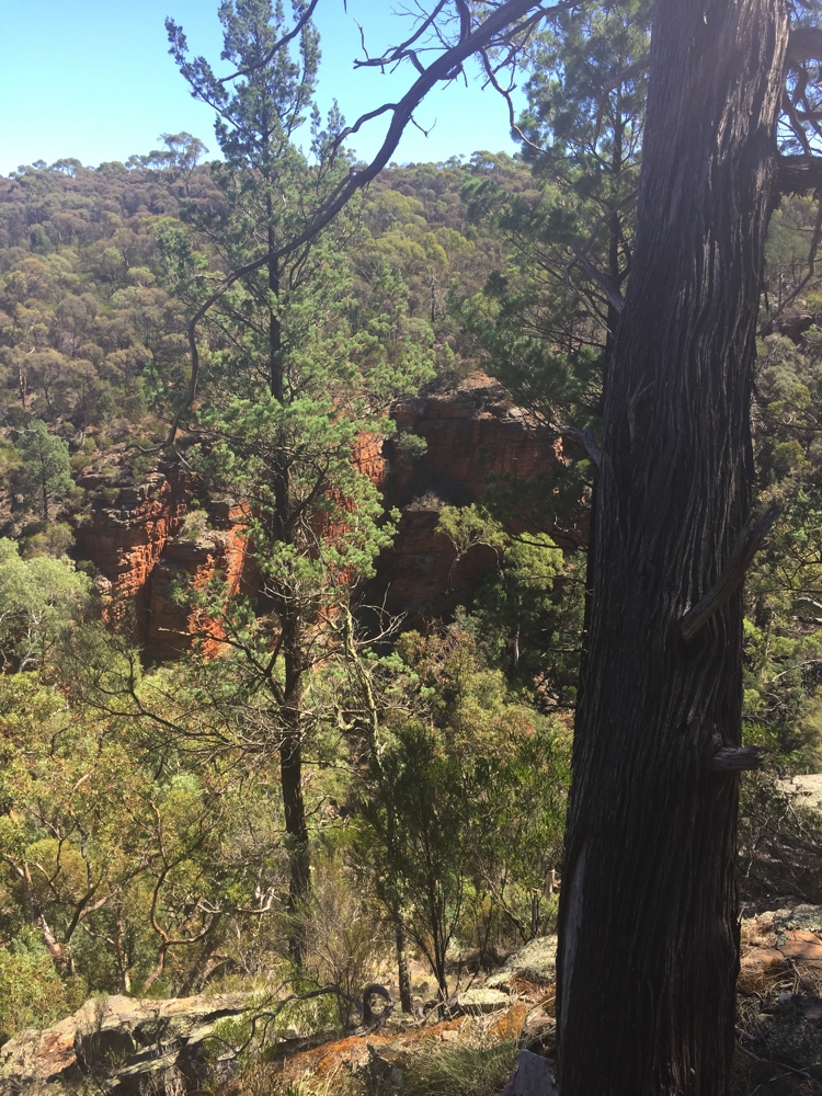 From the lookout, looking into Alligator Gorge. Mt Remarkable.