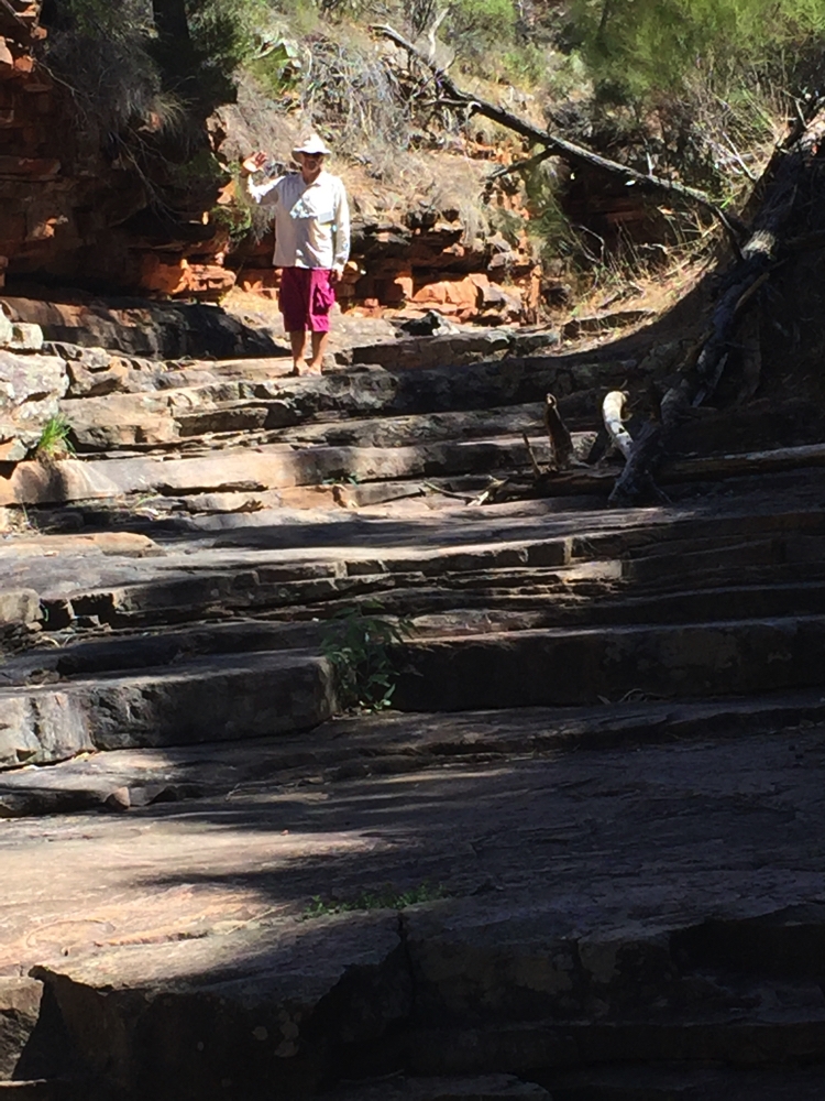 They call this 'The Terraces'. These terraces were formed by water in Alligator Creek. Mt Remarkable.