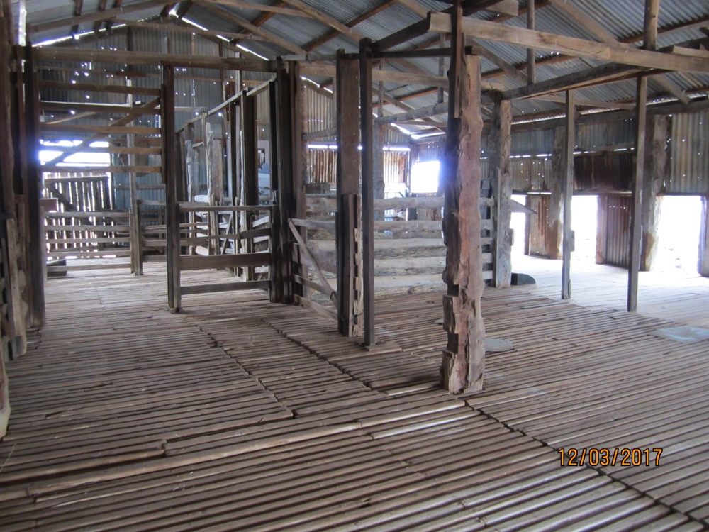 Inside the shearing shed at Mungo Station.