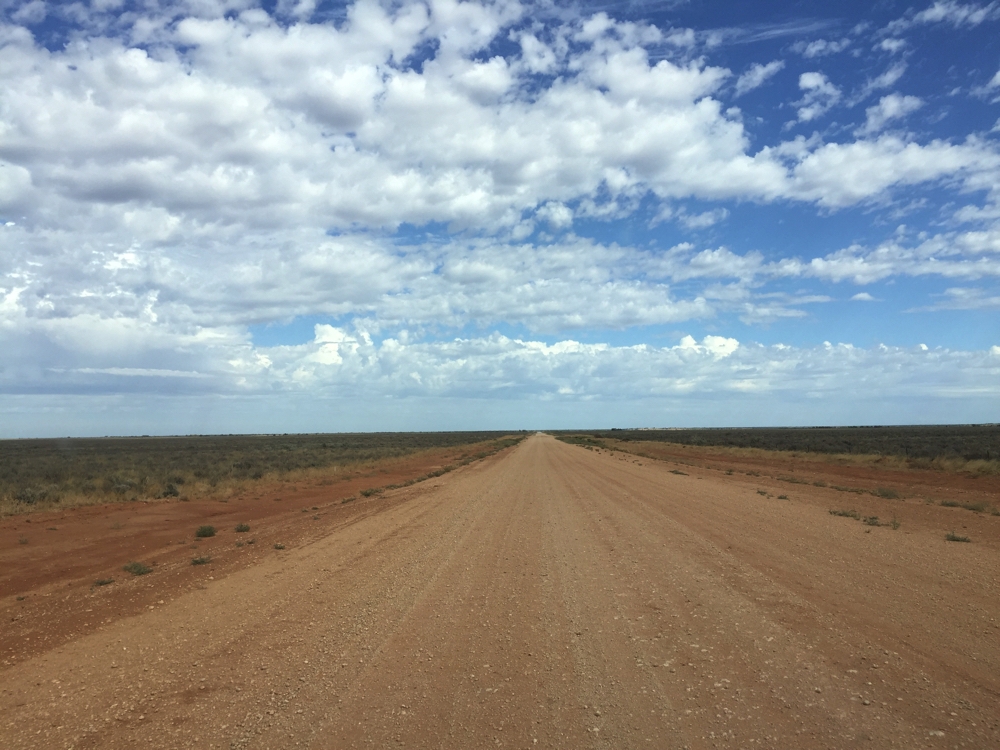 The road in to Mungo NP after leaving Balranald.