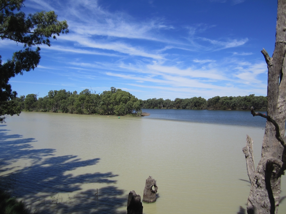 The confluence of the Darling River, closest and the Murray River in the background.
