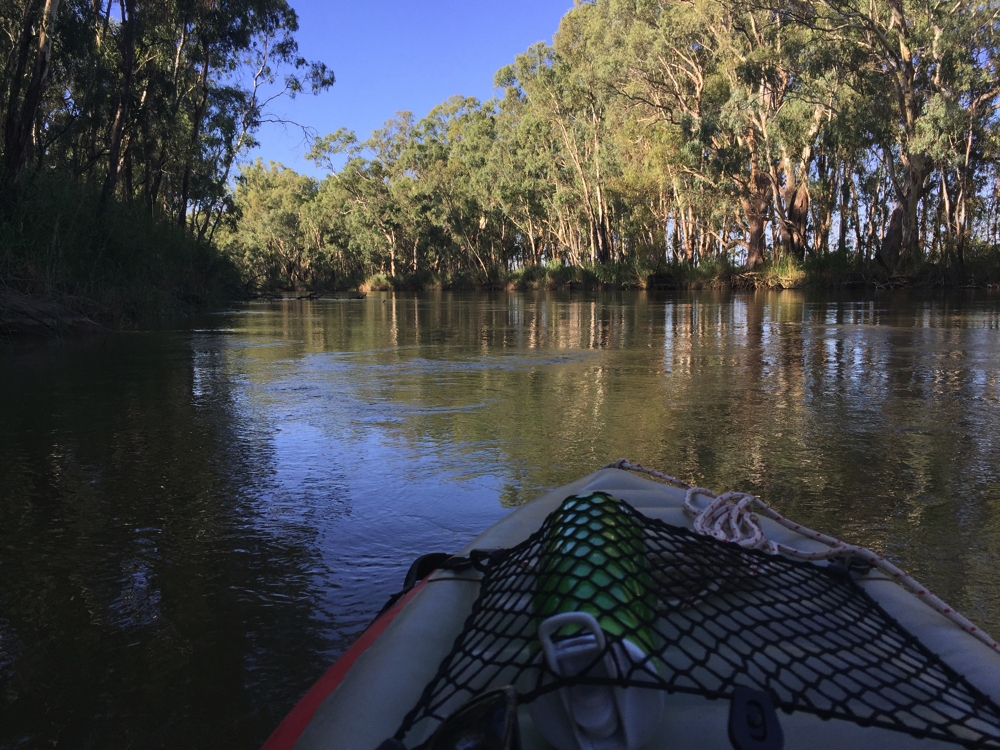 On the Murray River section of Barmah National Park. You can see how narrow the band of trees on the opposite bank is - that's how close Lake Barmah is to the river.