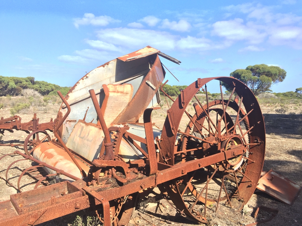 This old farm equipment is by the roadside in Lincoln National Park. Goodness knows when it was last used. Anyway it is, apparently, the site of a geocache.