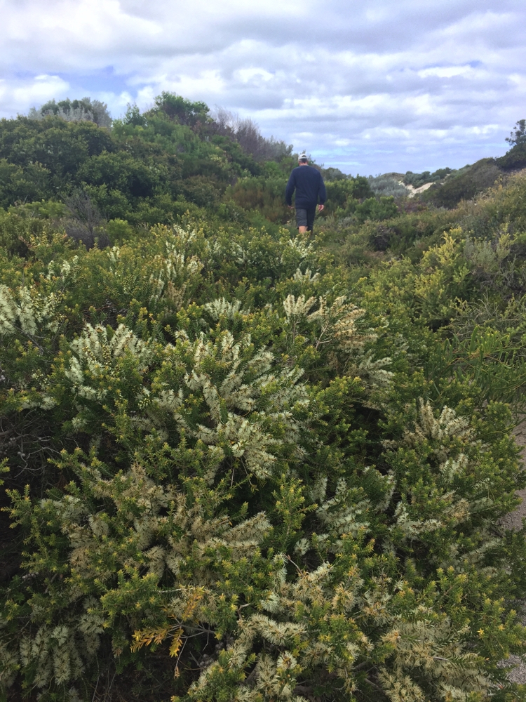 Walking in the Coffin Bay National Park. 