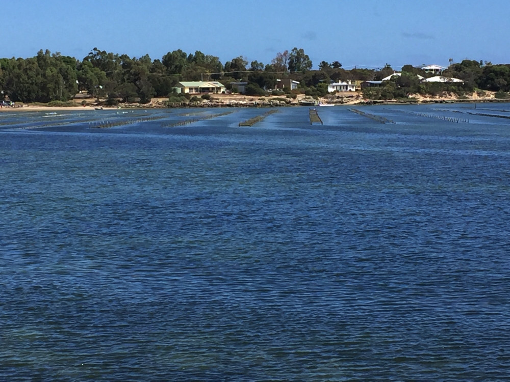 Across the oyster beds to Coffin Bay township.