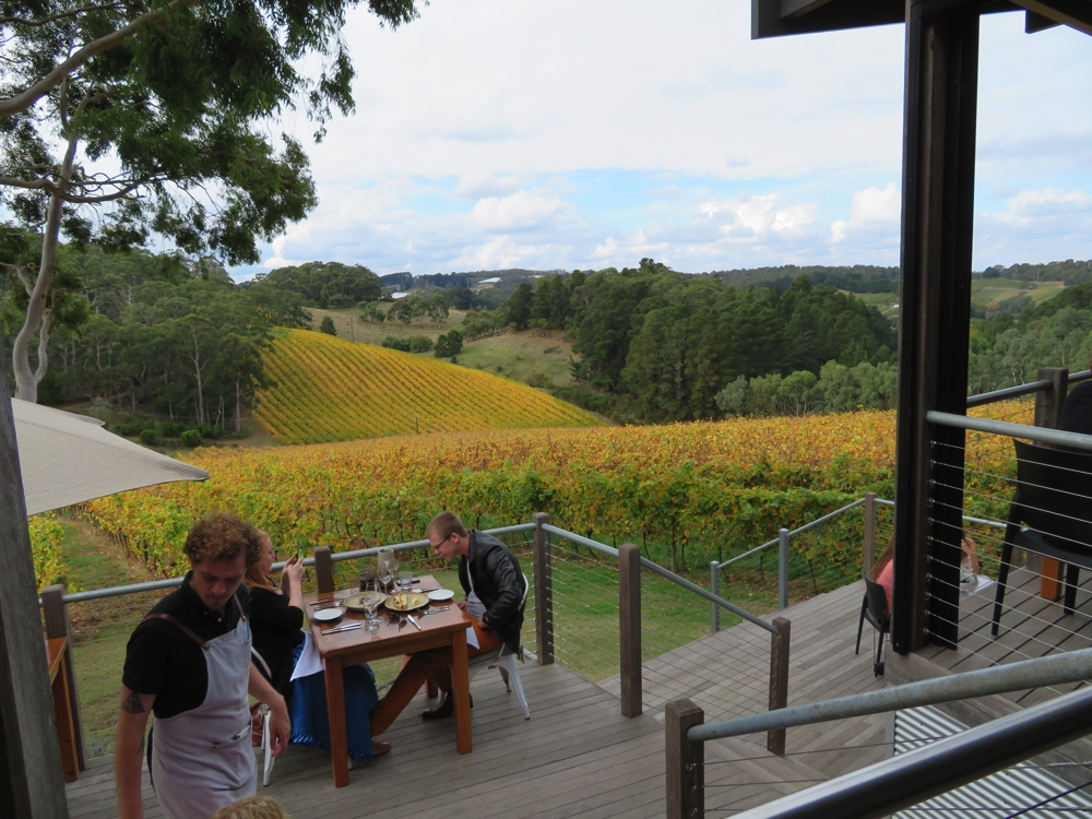 Ideal location for lunch. Mt Lofty Ranges vineyard, showcasing their autumn vineyard.