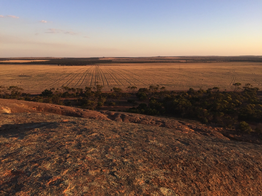 Farmland, as seen from Pildappa Rock, at sunset.