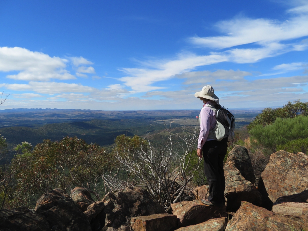 Standing at Tanderra Saddle looking to the outside of the Pound. 