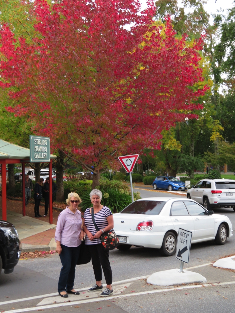 Autumn colours in Stirling in the Adelaide Hills. Terry and Denise