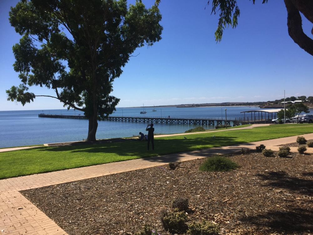 Very pretty foreshore and jetty at Streaky Bay.