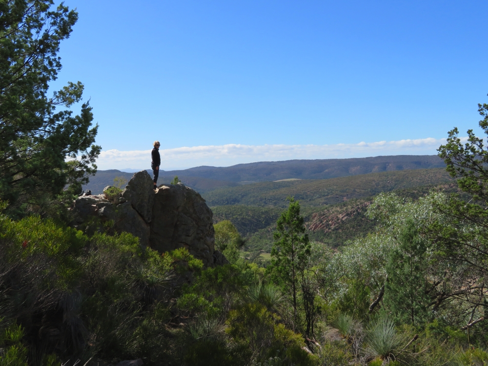 The lookout on the Warren Gorge walk. 