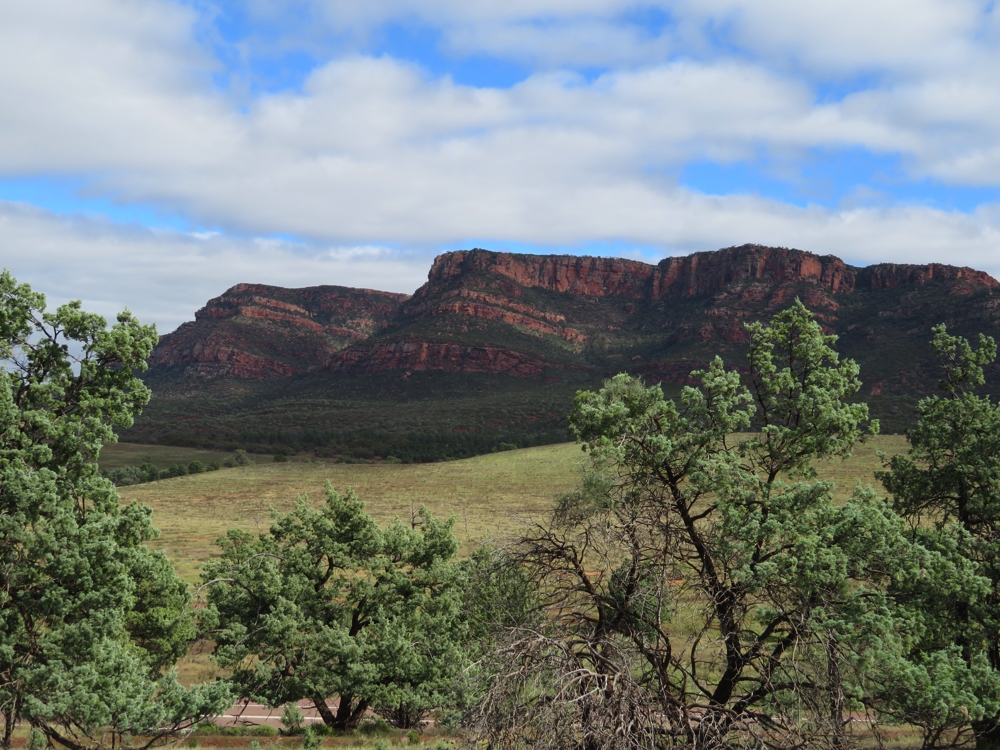 Wilpena Ranges, as seen from a lookout on the way in.
