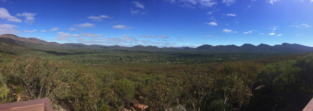 Panorama of Wilpena Pound. From here it's easy to see the enclosing mountain range with the flat plain in the middle.