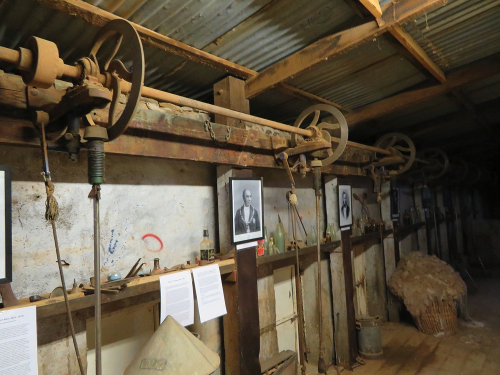 The shearing equipment still remains in the old shearing shed - though this section of it is now a museum. Beltana Station.