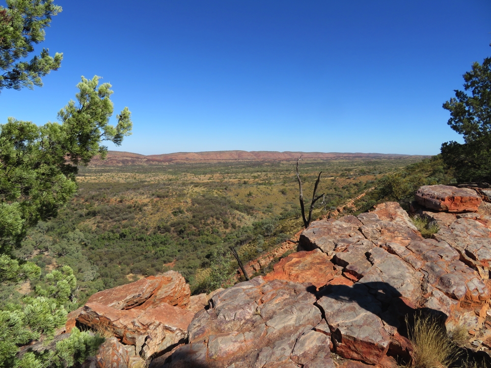 Looking away from the ranges, at Serpentine Gorge Lookout.