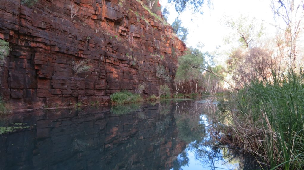 The track through the base of Dales Gorge.