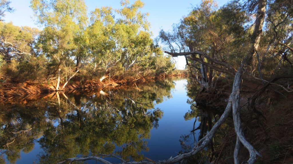 The beautiful Gascoyne River, just near our campsite.