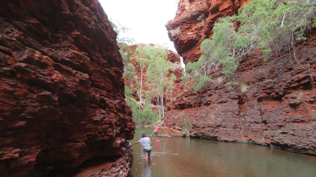Weano Gorge base walk. Challenging in places - but very beautiful.